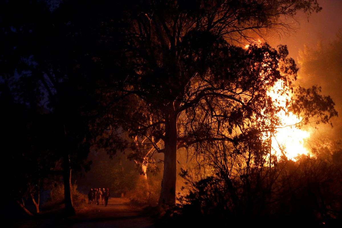 Wildfires roar back to life near Athens as winds fan flames