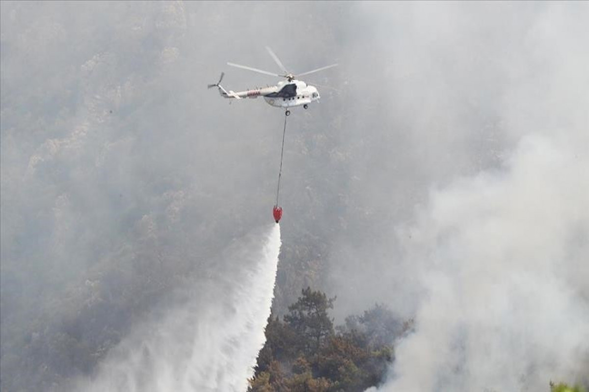 Turkey forest fire