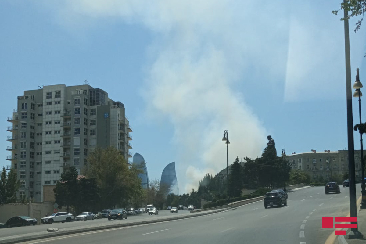 Fire broke out in wooded area in Baku