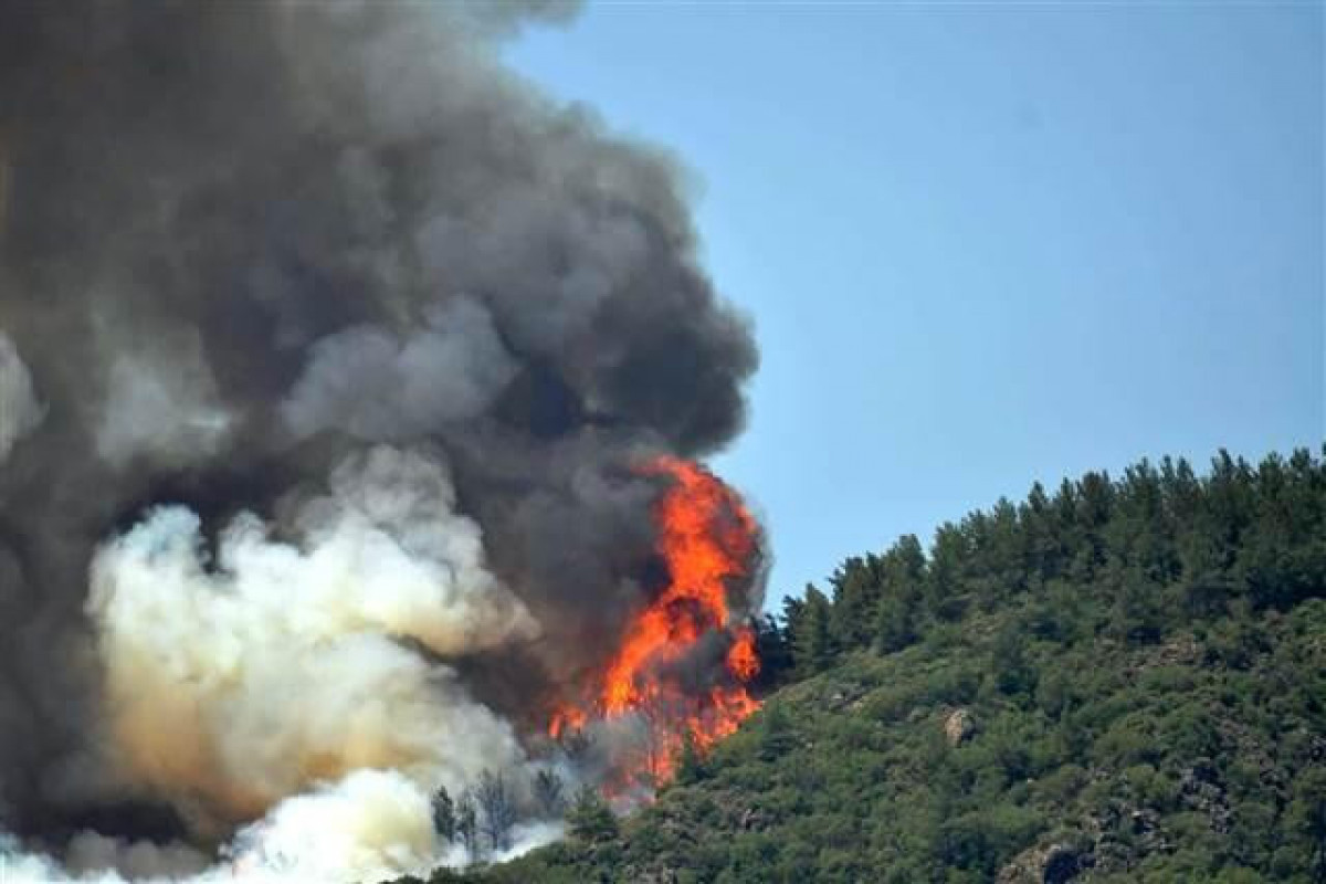 7 of 12 wildfires in forests in Turkey extinguished