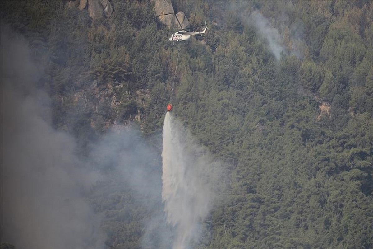 Turkey forest fire