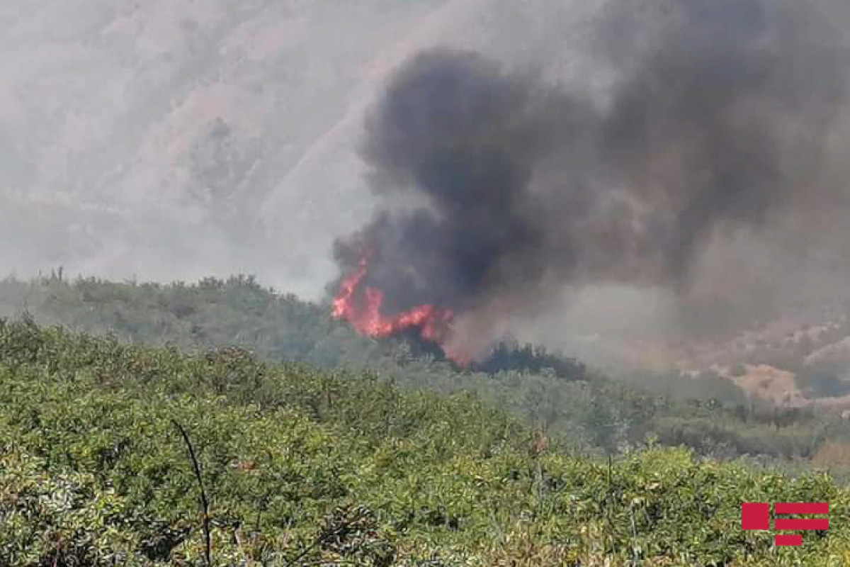 Fire, broken out in mountainous area in Aghsu, extinguished-VIDEO 