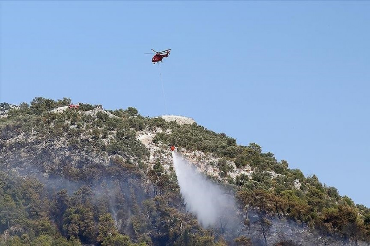 All forest fires brought under control in Turkey except 2
