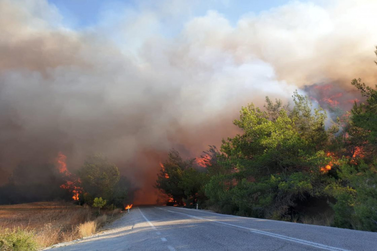 Turkey forest fire