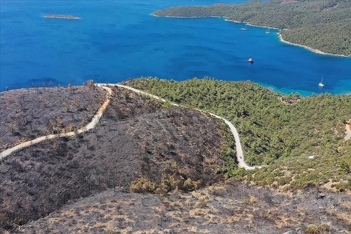Turkey, Forest fire