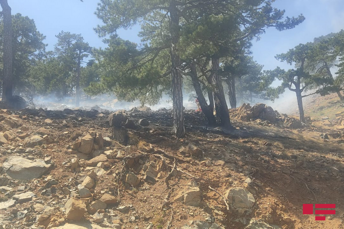 Fires in forest massif in Turkey continue