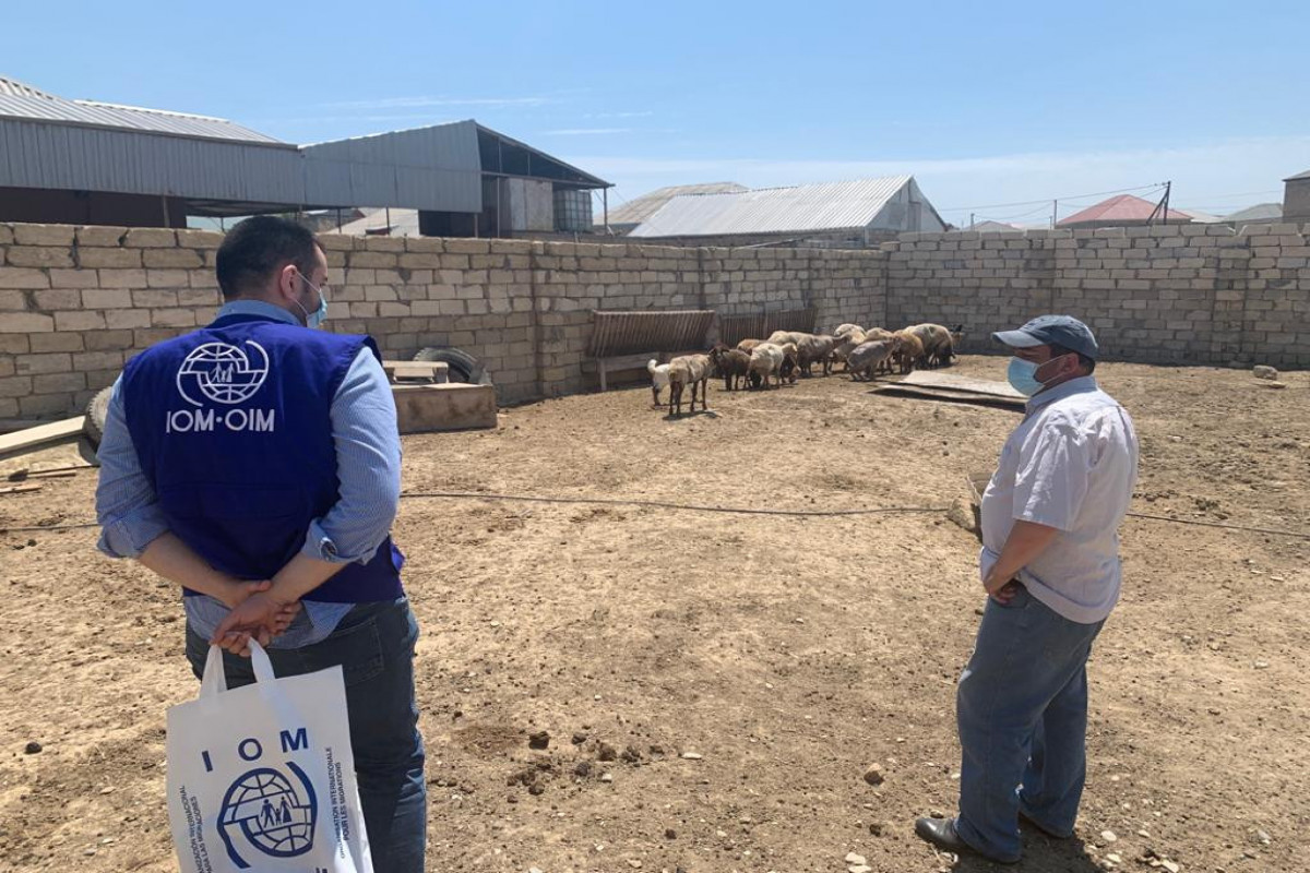 IOM Azerbaijan provided monetary and in-kind reintegration assistance to 397 returnees