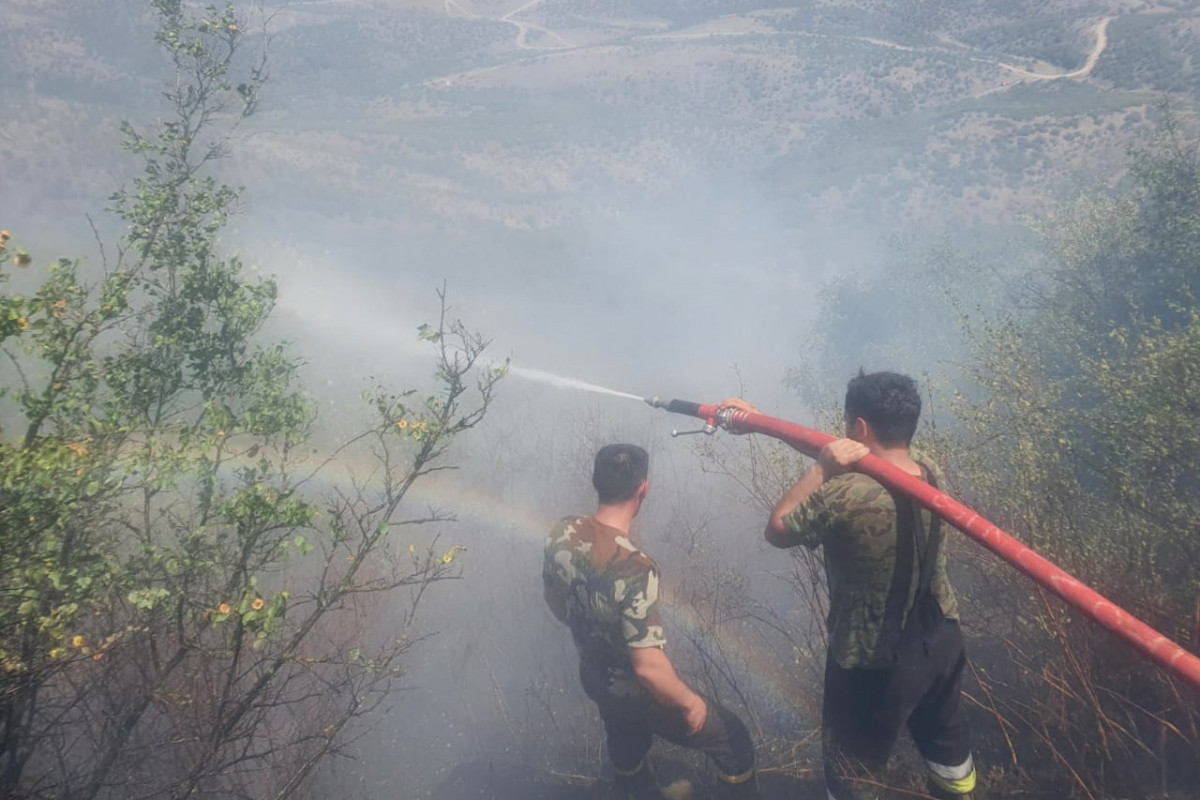Fire in mountainous area in Gabala continues