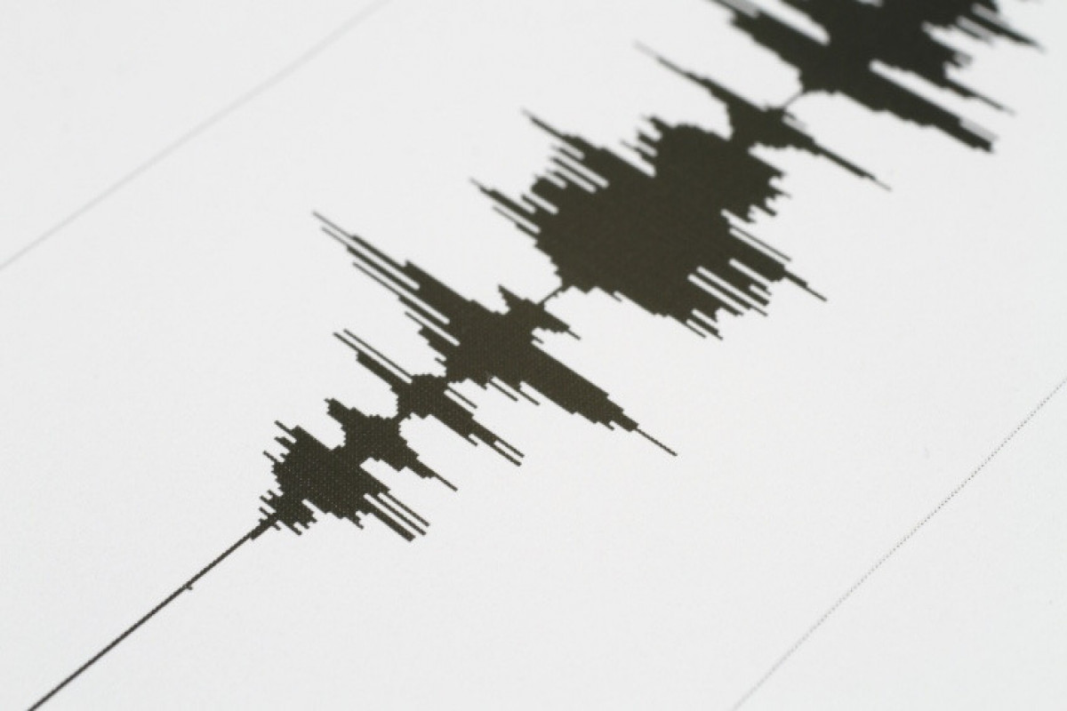 Magnitude 7 quake strikes western Haiti, says USGS