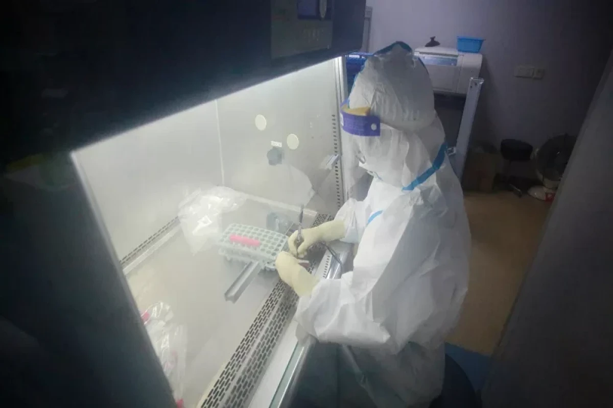 China suggests COVID-19 could have been imported into Wuhan