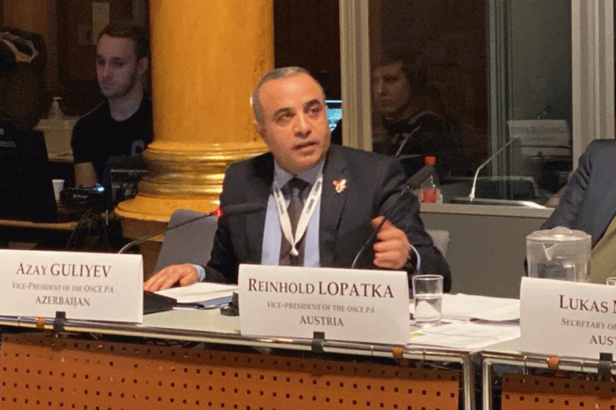 Azay Guliyev, Head of the Milli Majlis Delegation to the OSCE PA