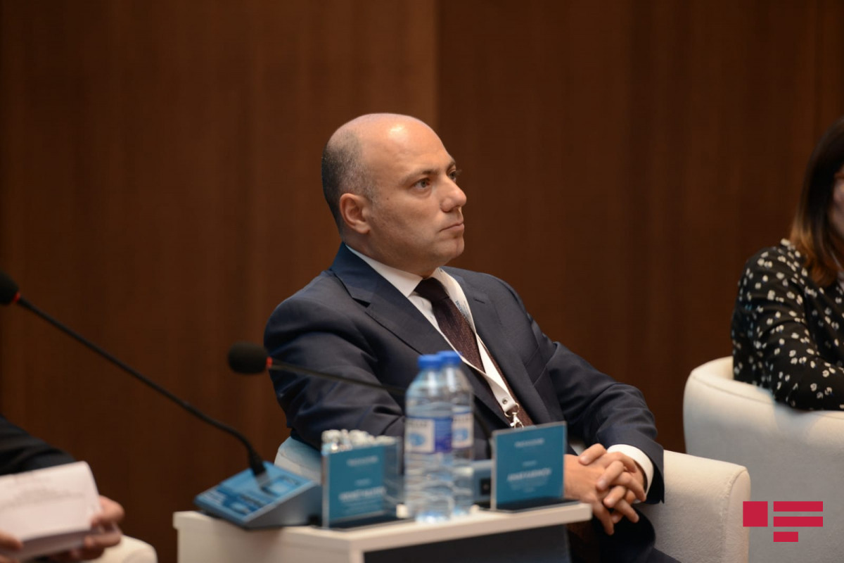 Culture Minister Anar Karimov