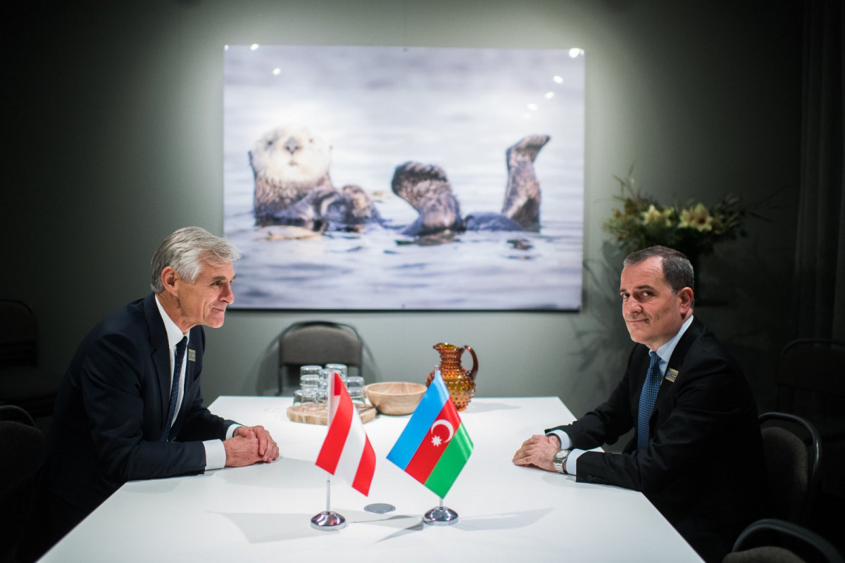 Azerbaijani Foreign Minister met with his Austrian counterpart