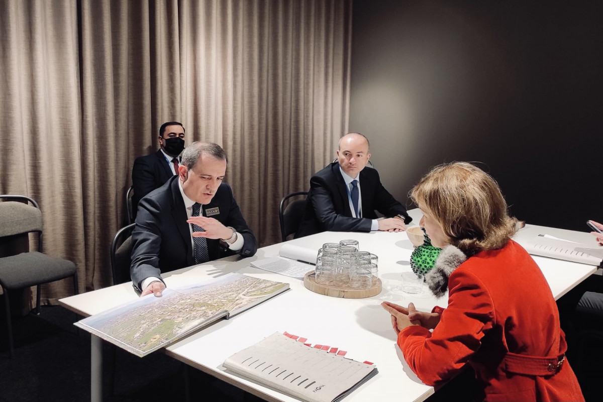 Azerbaijani FM meets with OSCE Representative on Freedom of the Media