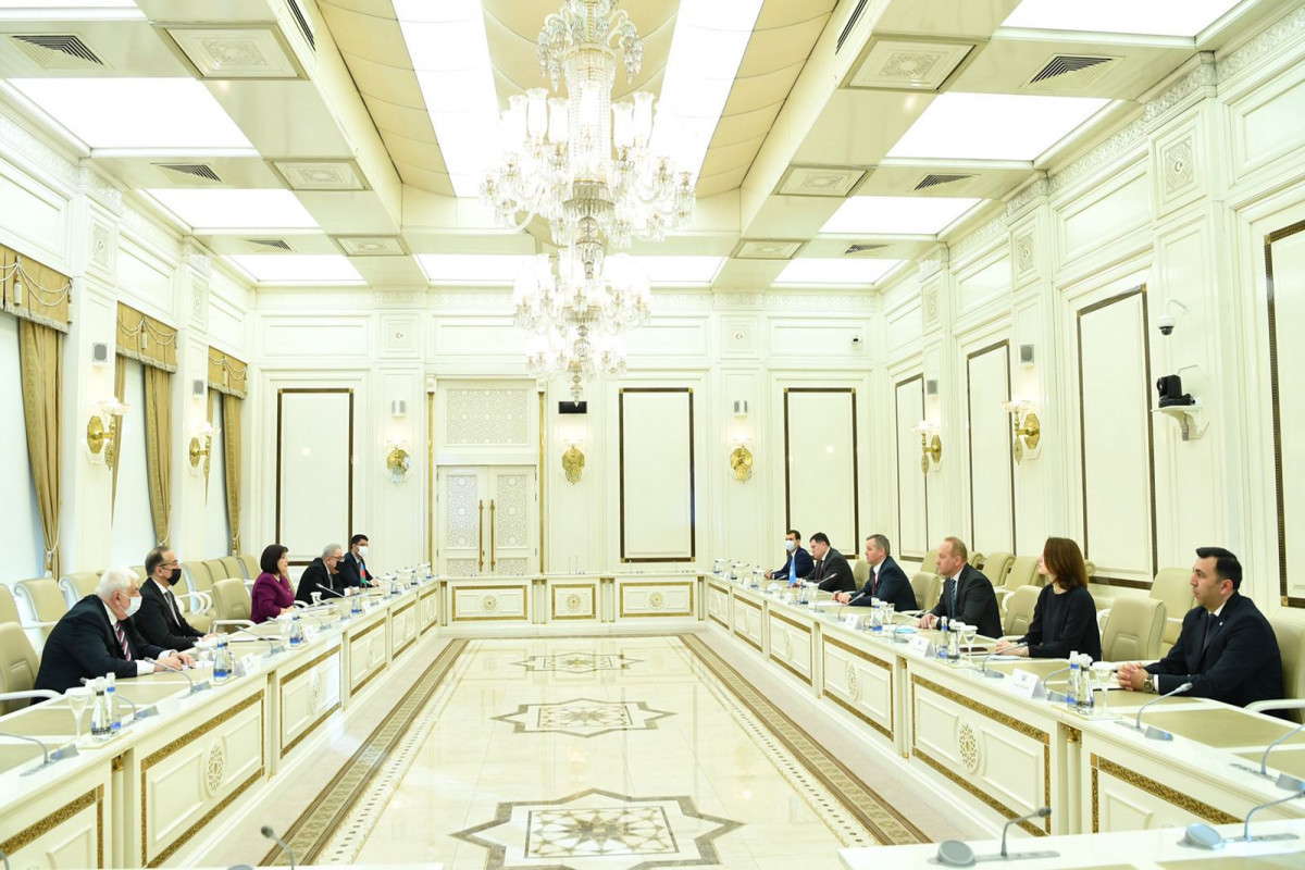 Chair of Milli Majlis Sahiba Gafarova meets a delegation of IPA CIS Secretariat