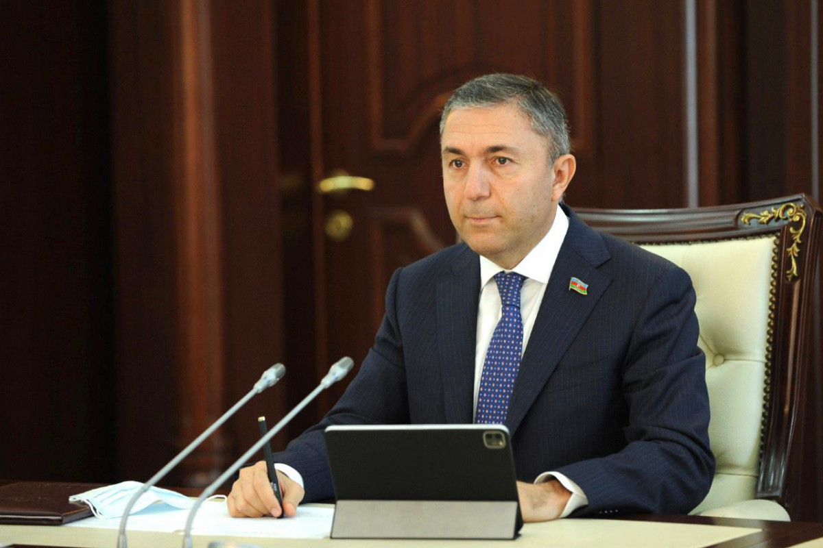 Chair of Parliamentary Committee on Economic Policy, Industry, and Entrepreneurship Tahir Mirkishili