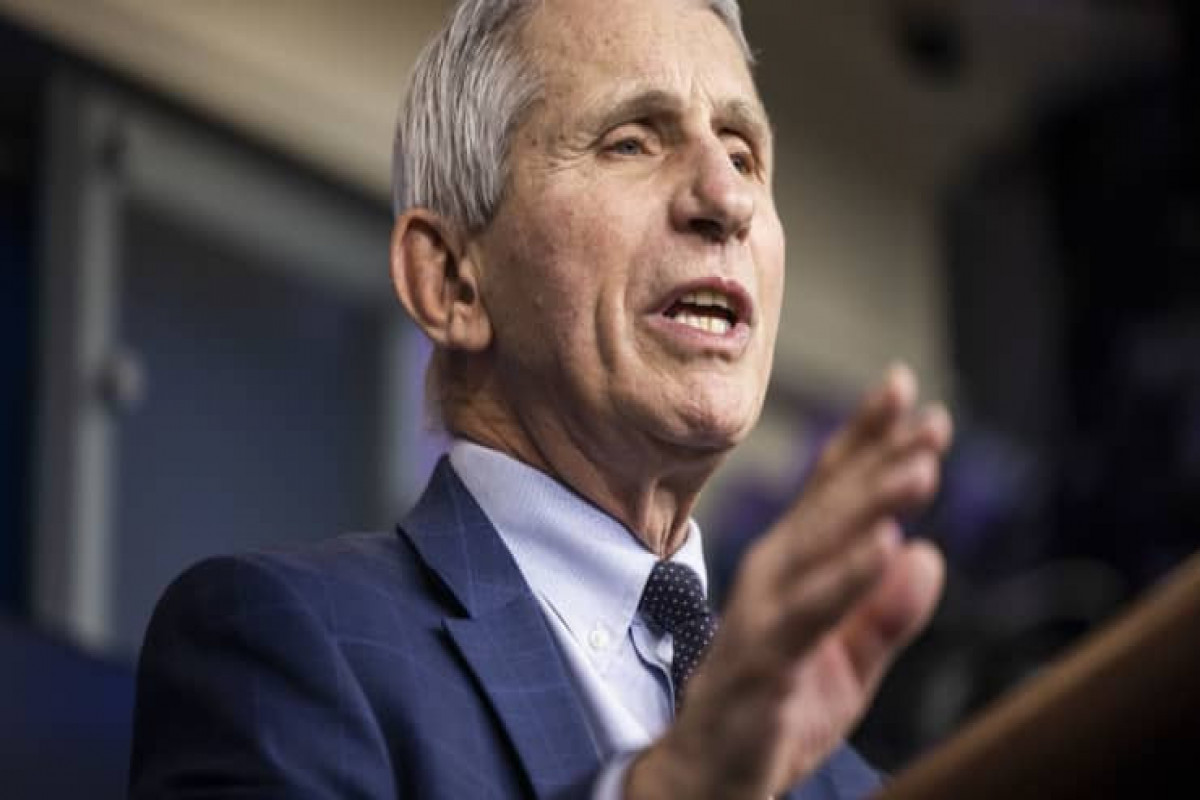 U.S. infectious disease expert Dr. Anthony Fauci
