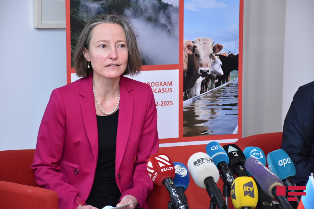 Muriel Peneveyre, Swiss Ambassador to Azerbaijan