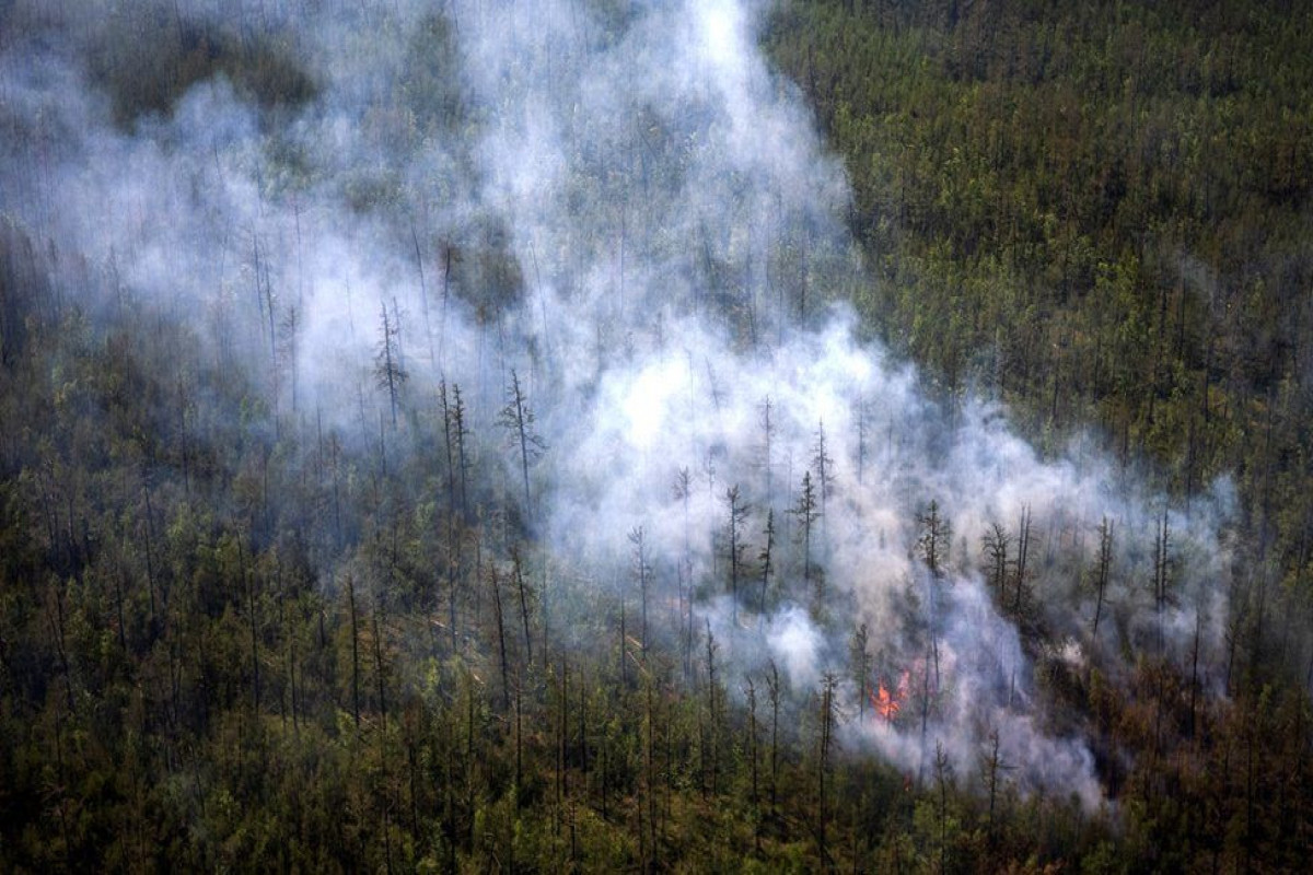Arctic heat record is like Mediterranean, says UN