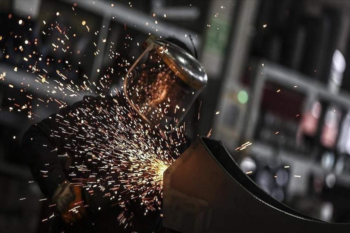 Euro area industrial production rises in October