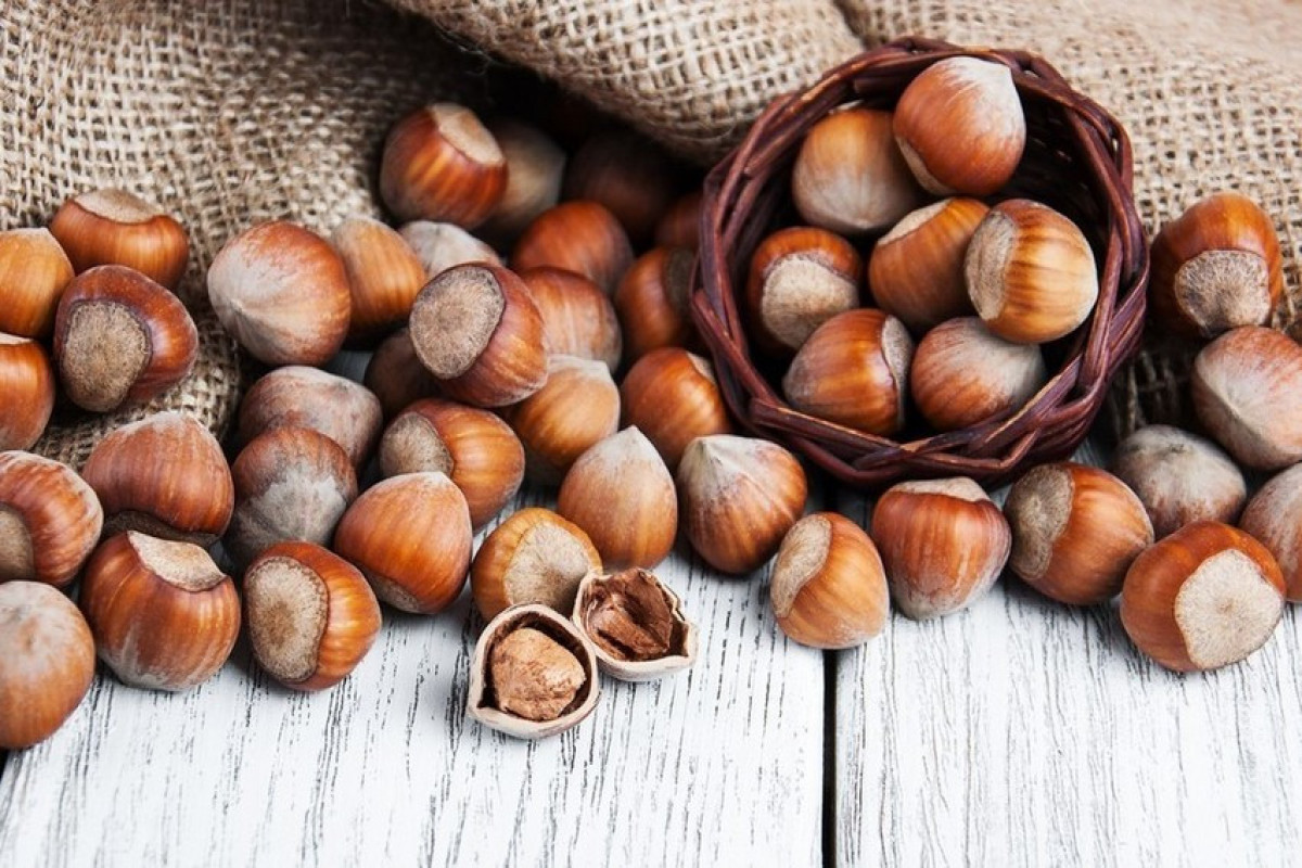 Hazelnut exports to EU to be conducted on basis of AFSA's guarantee