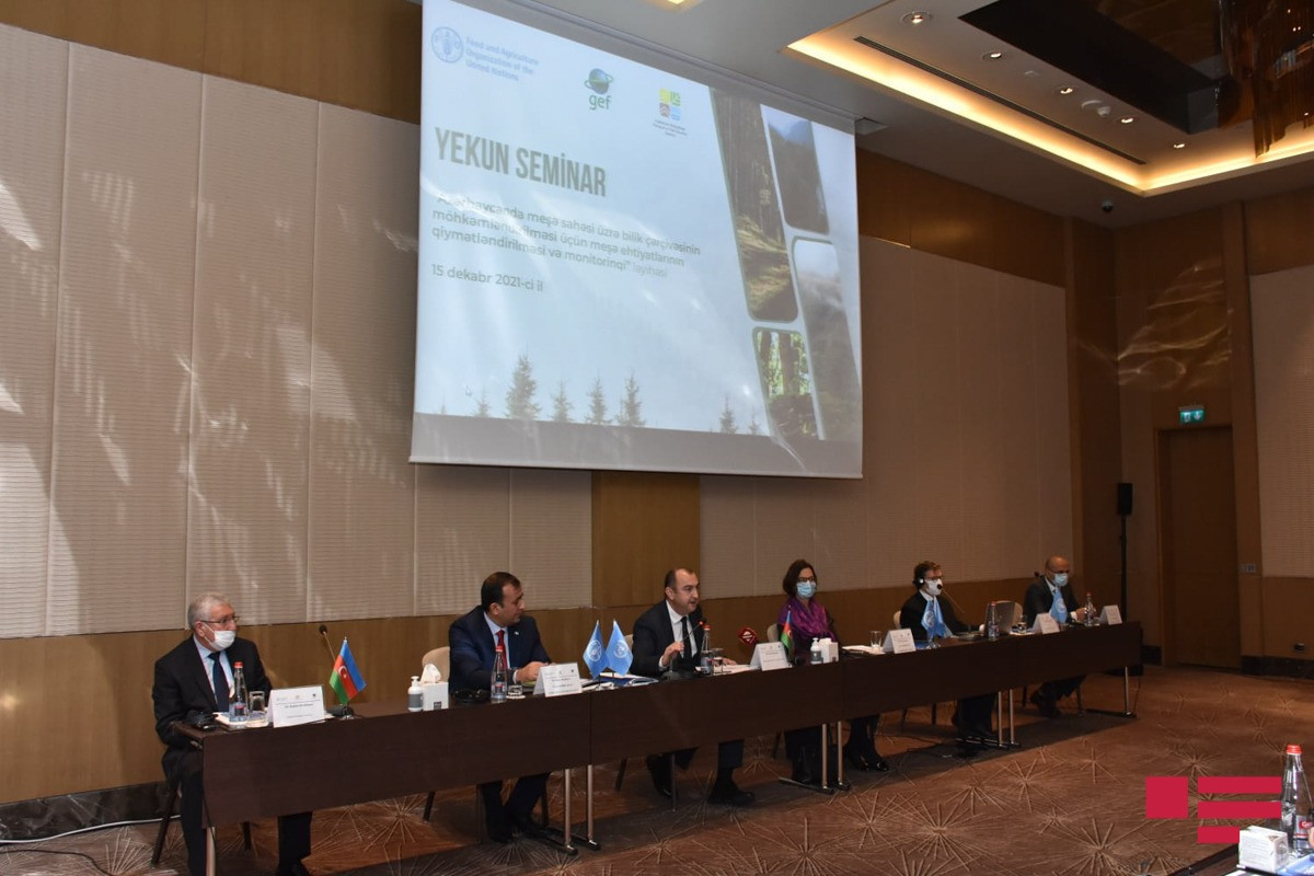 FAO to help restoration of 200 hectares forest field in liberated territories