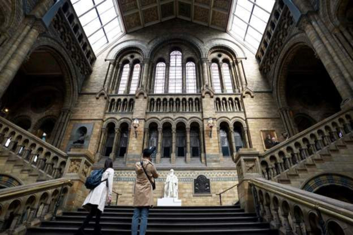 Natural History Museum forced to close over staff shortages