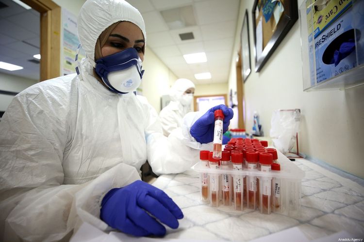 Russian COVID-19 test system can detect UK and other coronavirus strains