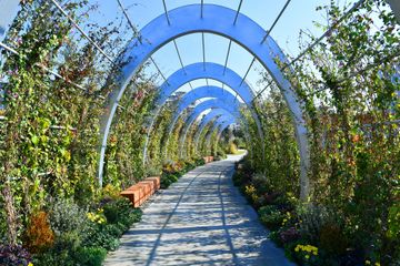 President Ilham Aliyev and Mehriban Aliyeva attend opening of newly laid forest park in Yasamal district