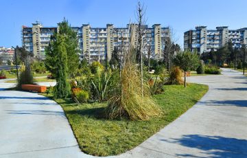 President Ilham Aliyev and Mehriban Aliyeva attend opening of newly laid forest park in Yasamal district