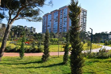 President Ilham Aliyev and Mehriban Aliyeva attend opening of newly laid forest park in Yasamal district