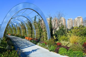 President Ilham Aliyev and Mehriban Aliyeva attend opening of newly laid forest park in Yasamal district
