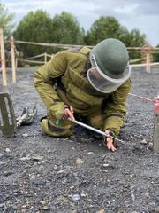 Turkey's Defense Ministry presents 10 mine-detection dogs to Azerbaijan