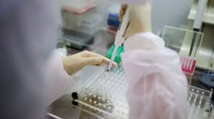 Over 413,000 new coronavirus cases reported across the globe in the past 24 hours - WHO
