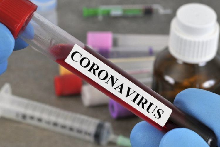 Armenia's coronavirus death toll reaches 3,155