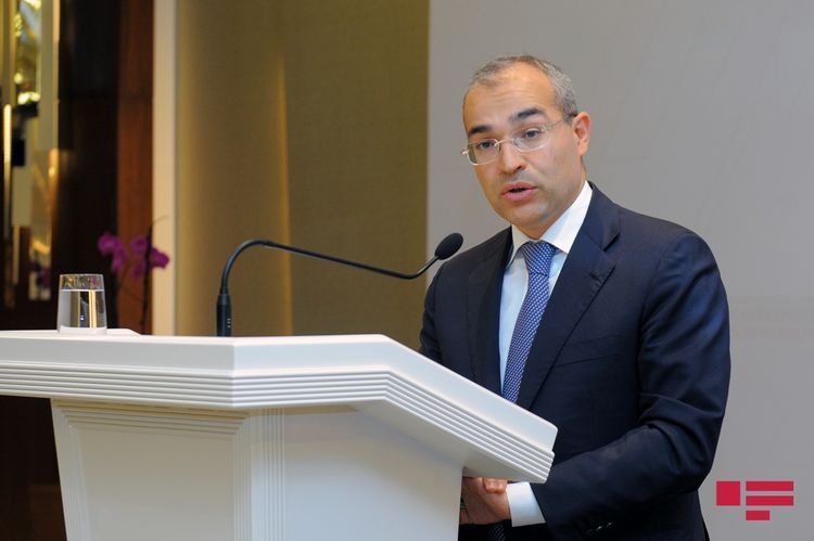 Azerbaijan's Minister of Economy: Karabakh's potential shall be revived and our resources will be used efficiently