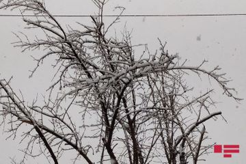 Snow fell in some regions of Azerbaijan - PHOTO