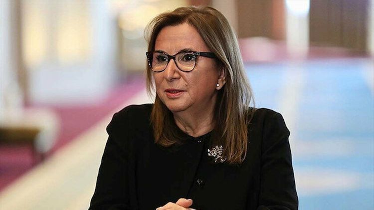 Turkish Minister: Main goal is Turkish-Azerbaijan trade turnover to reach 15 bln dollars