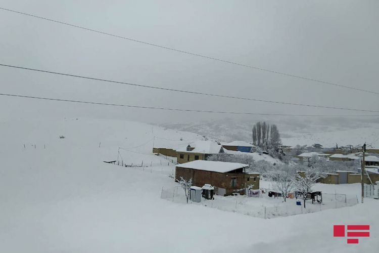 Umayra Taghiyeva: "February 24 is expected to be the coldest day of this winter"
