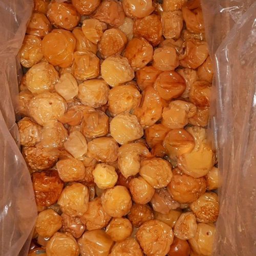 Fungi found in albukhara brought to Azerbaijan from Iran