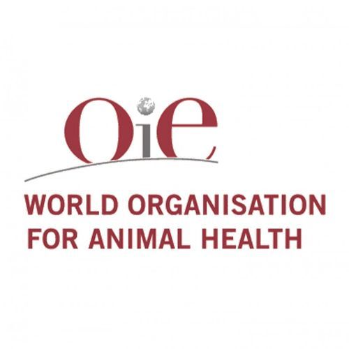 Azerbaijan restricts import of poultry and poultry products from some provinces of Iran