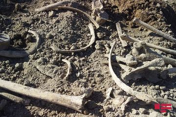 Human remains found during excavation in Aghdam - PHOTO