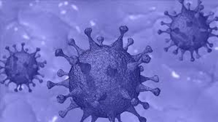 More than 600 journalists died of coronavirus worldwide since pandemic starts