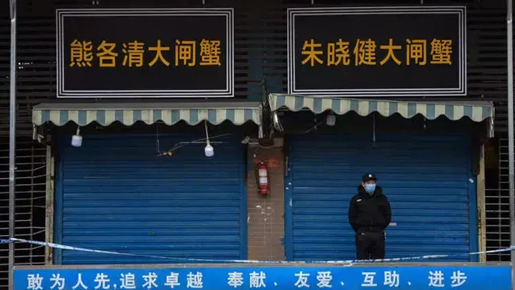 WHO team investigating virus origins denied entry to China