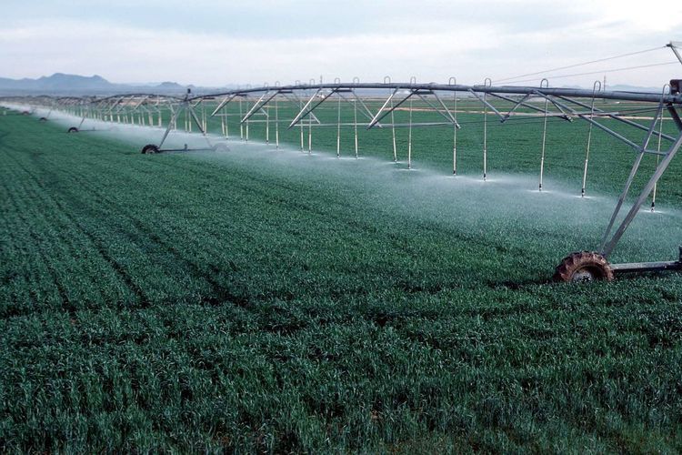 Israeli experts will share their experience with Azerbaijani farmers