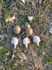 ANAMA found 216 pieces unexploded ordnance in territories along frontline - PHOTO