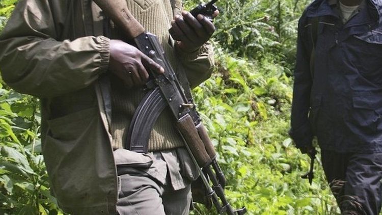Six rangers killed in DR Congo's Virunga National Park
