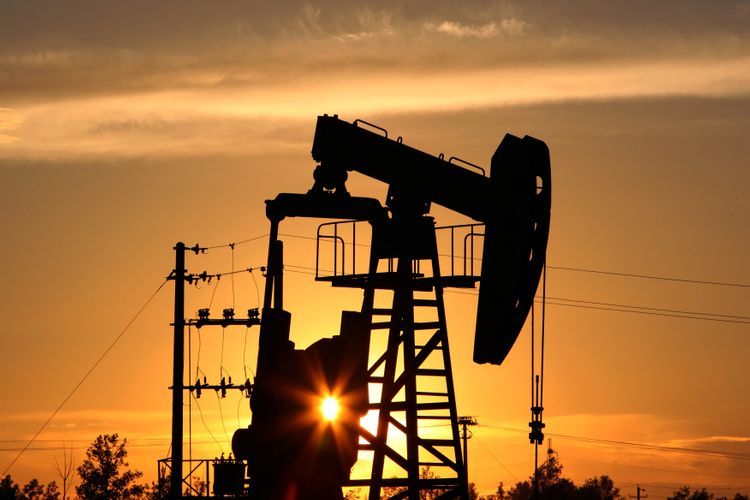 OPEC countries will produce more than 28 mln barrels of oil per day in 2022 - FORECAST