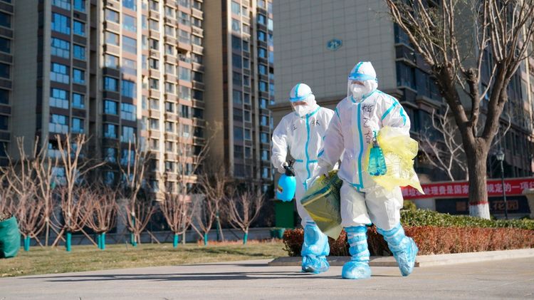 WHO says two experts heading to Wuhan tested positive for COVID-19 during transit