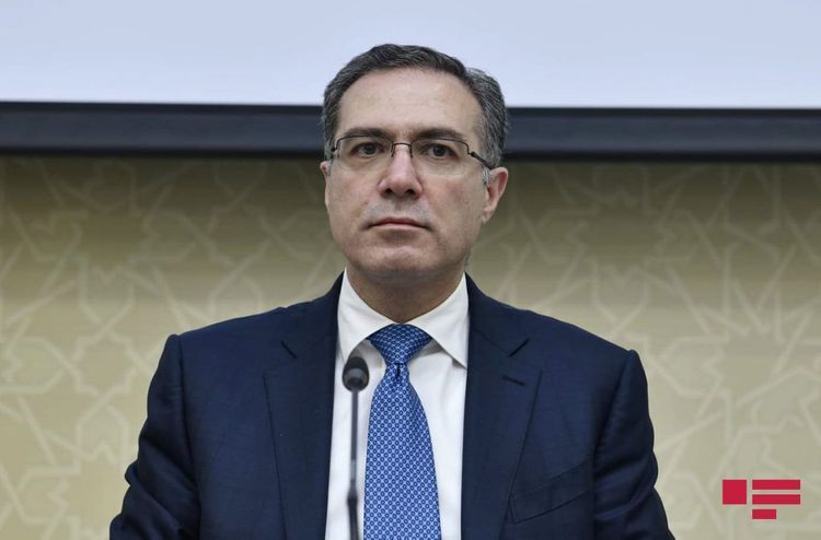 Assistant to the President Shahmar Movsumov: “Assistance continues to businesses operating in areas affected by the coronavirus”